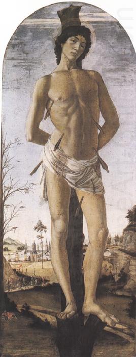 St Sebastian (mk36), Sandro Botticelli